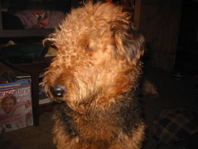 ruffs1.jpg