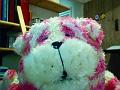 bagpuss