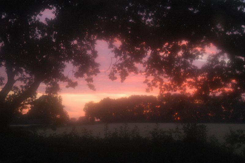 DSC_3452.JPG